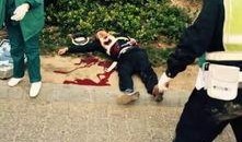 河南交警最新爆料